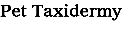 Pet Taxidermy
